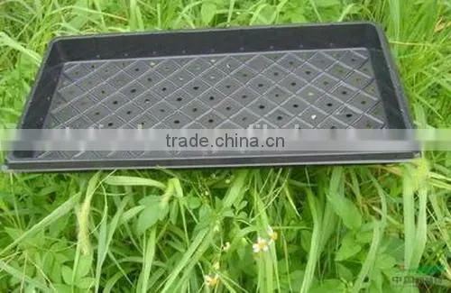 China Supplier Manufacture Latest Low Price Plastic Seed Tray photo-2