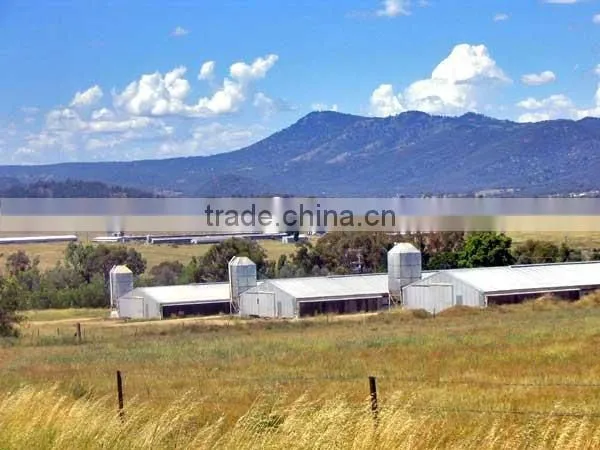 China DFX Cheap Poultry Farming Prefabricated Industrial Chicken House photo-2