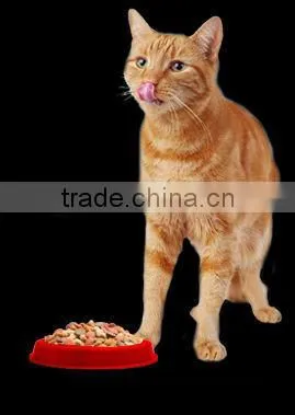 Private Label Organic Dry Pet Food Cat Food photo-6