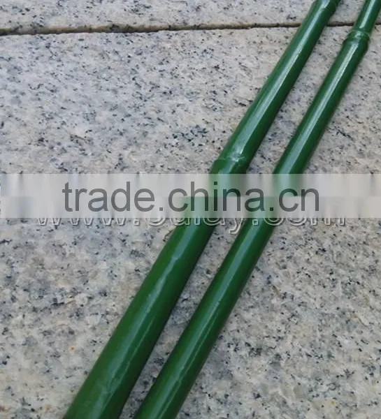 Plastic Coated Bamboo Canes photo-4