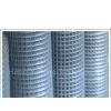 Sell Welded Wire Mesh