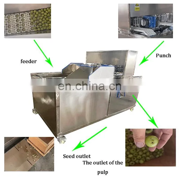 Peach Longan Cherry Sweet Date Olive Prune Destone Cherry Avocado Seed Removing Machine photo-2