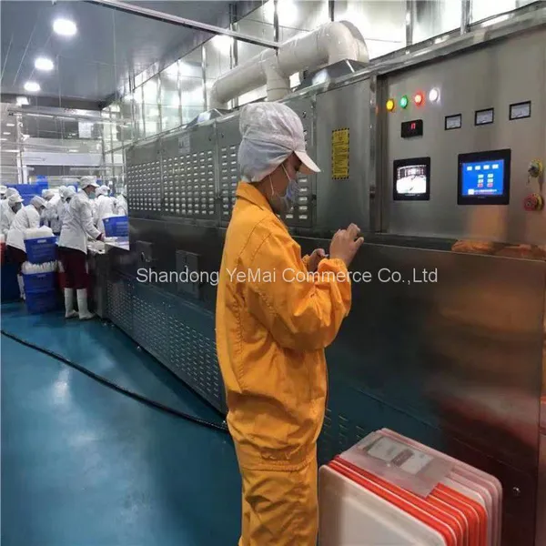 Hot Sale Microwave Heating Machine for Fast Food for Packed Meal photo-3