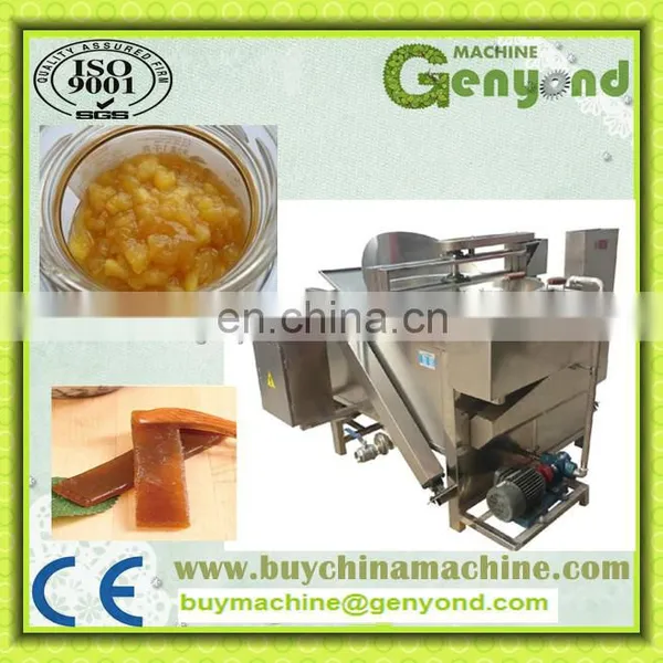 Final Manufacturer Factory Complete Mango Bar Fruit Leather Forming Making Machine Fruit Roll up Process Plant Production Line photo-2