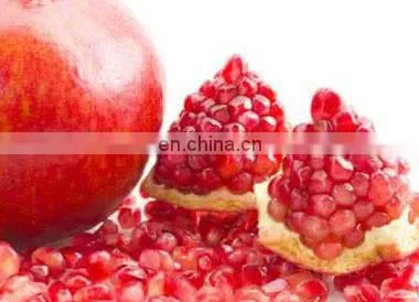 Passion Fruit Seed Separator Machine/ Commercial Pomegranate Seed Separating Machine photo-3