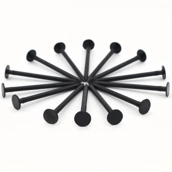 Straight Shank Black Nails With Warranty for Wholesale and Bulk Orders photo-5