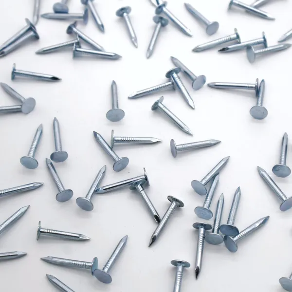 Customizable Roofing Clout Nails - Galvanized, 1kg or 25kg, Made in China photo-5
