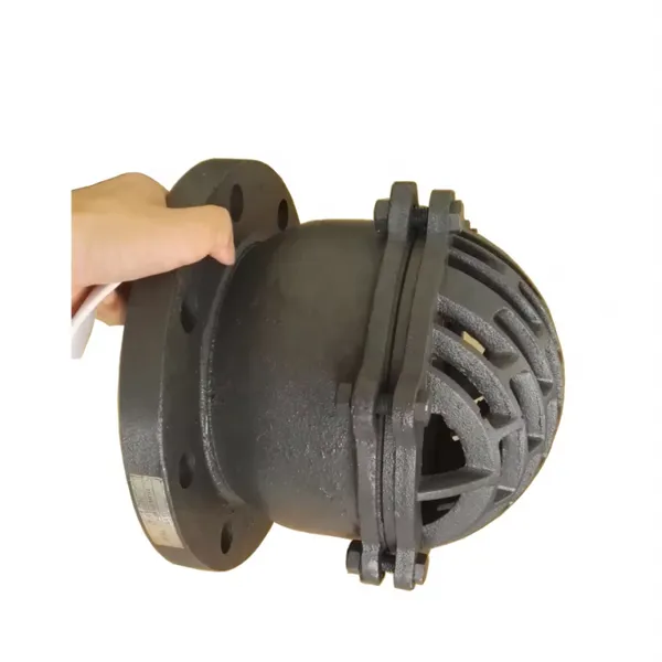 BS/DIN DN100 PN16 Cast Iron/Ductile Iron GG25 GGG50 Foot Valve Flange/Thread Foot Valve Factory
