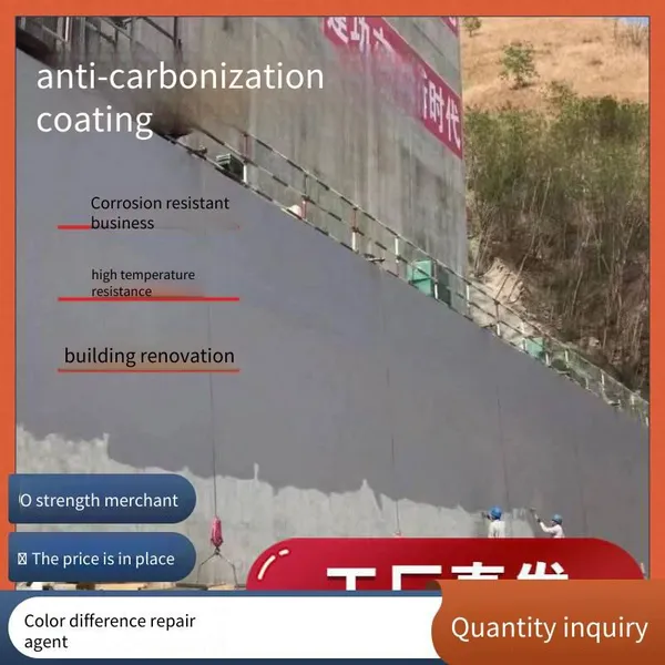 Anti-carbonation and Anti-corrosion Waterproof Coating, Bridge Concrete Surface Repair Material