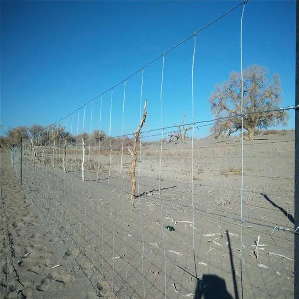 Cattle Panel for Temporary Corrals and Sorting Alley Installation photo-1