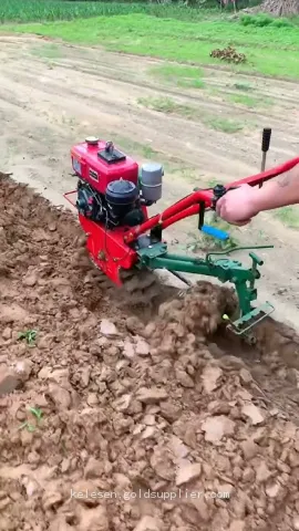 Kelesen Farm Wholesale Mini Cultivator Machine Cultivators Planter Farming Equipment Agricultural Cultivator Machine photo-5