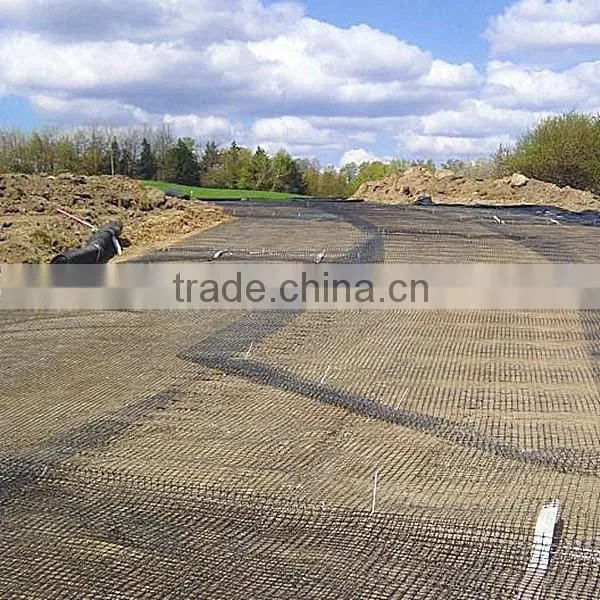 PP Biaxial Geogrid( TGSG1515-100100 ) photo-5