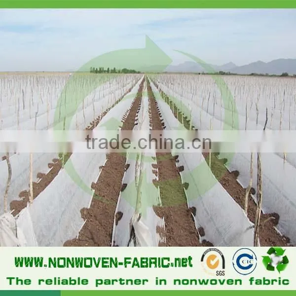 Lightweight Breathable Agricultural pp Nonwoven Fabric/ Landscape photo-5