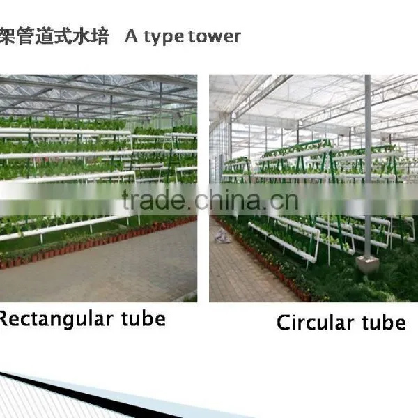 Garden Greenhouse Three Layer Hydroponics for Agricultural photo-3
