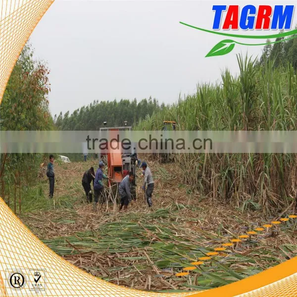 Well-known TAGRM Brand Sugarcane Leaf Remover/with Two Wheels Sugarcane Leaf Peeling Machine Quality Choice photo-6