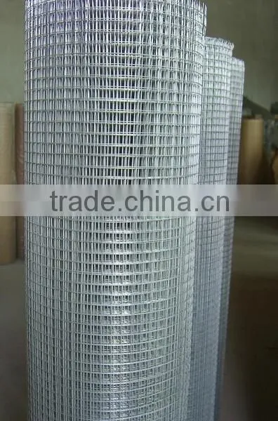 Low Price Electro Galvanized Welded Wire Mesh Made in China photo-6