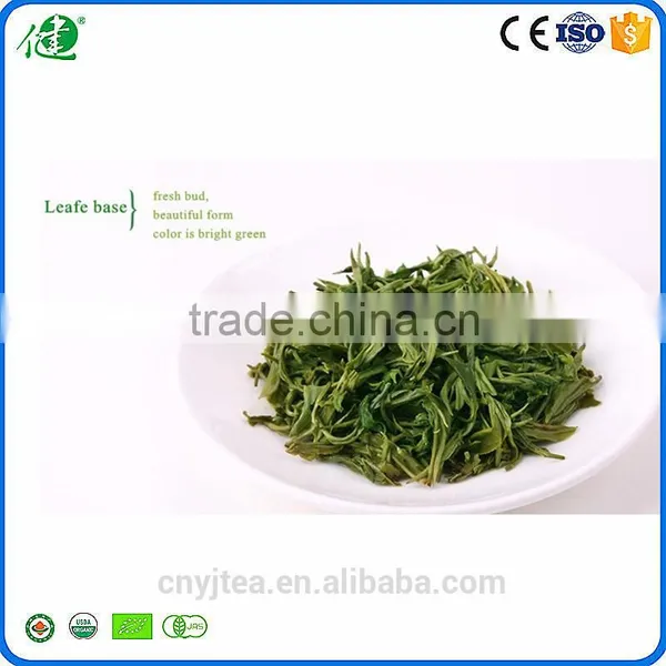 Quality Guaranteed Fresh Green Tea Leaves Organic/green Tea Bags Bulk photo-2