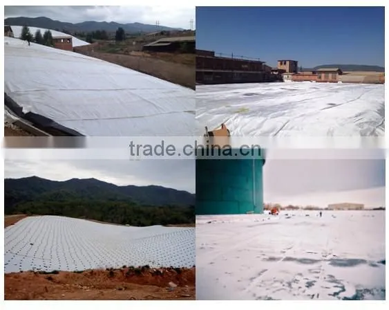 Anping Beach Construction Needle Punched Non-woven Geotextile Hot Seller