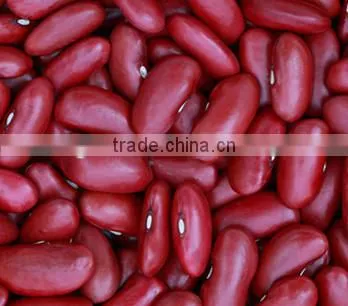 We Are Supply Kidney Beans, Dark Red Kidney Beans for Sale photo-6