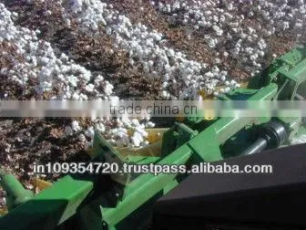 Organic Raw Cotton INDIA