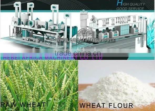 Maize(corn) Flour Grinding Machine photo-6