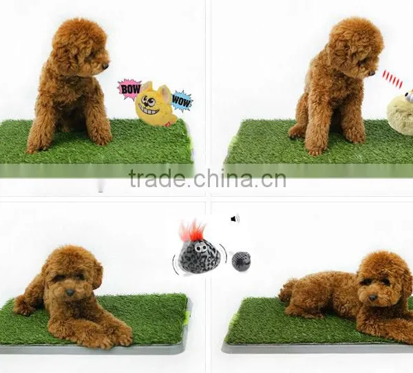 Electronic Jumping Pet Ball , Interactive Dog Toy photo-3