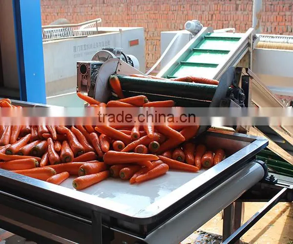 Farmland Fresh Red Carrots Supplier photo-5