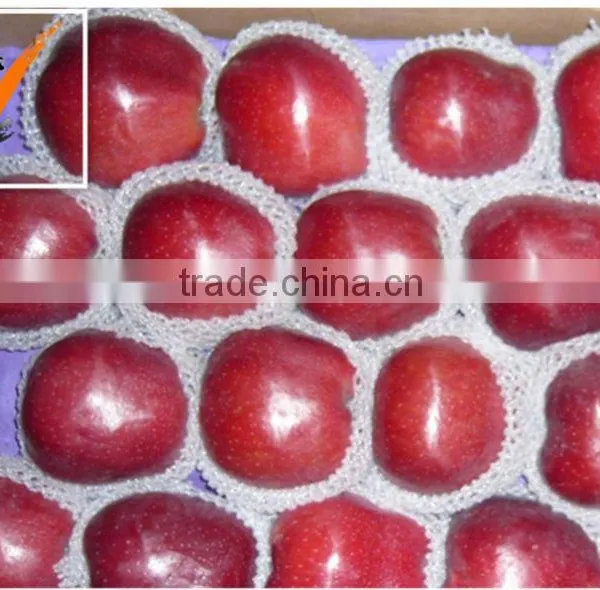 Fresh Huaniu Apple