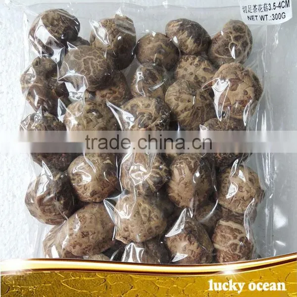 Dried Tea Flower Shiitake Mushroom Cut Foot