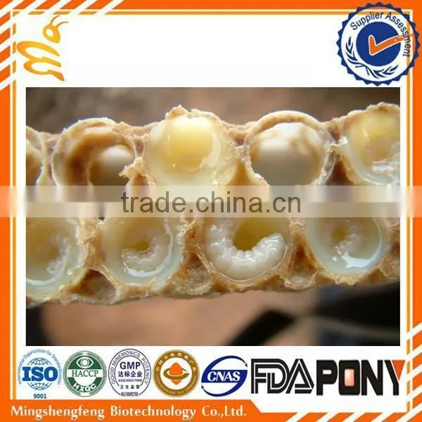 Professional Manufacturing 100% Natural Royal Jelly Capsule for Him photo-5
