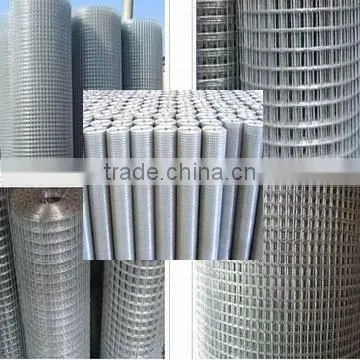 Galvanized Welded Wire Mesh