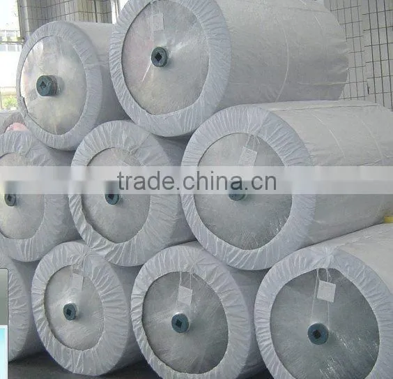 Nylon 6 Dipped Tire Cord Fabric