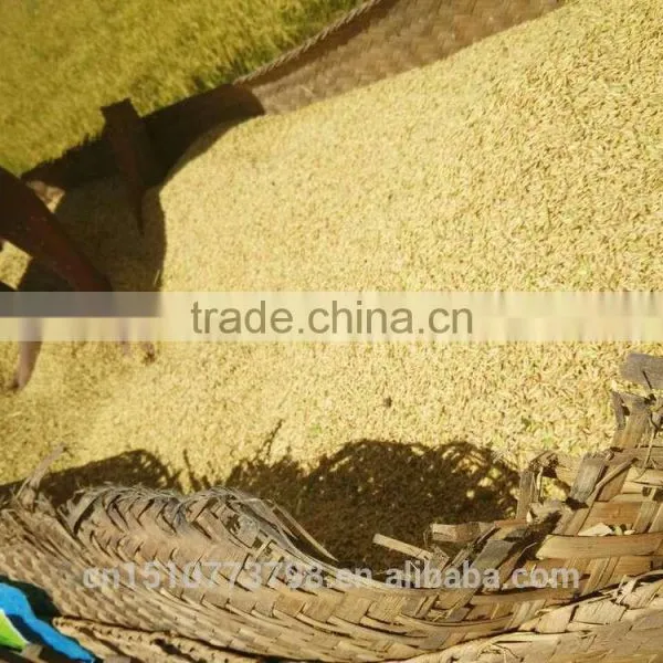 4LZ-3.0 K-BOS Big Tank Combine Harvester photo-5
