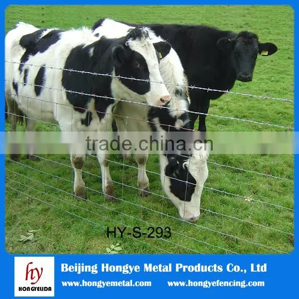 Made in China Cattle Fence/wrought Iron Metal Sty (AnPing Wire Mesh Base) photo-3