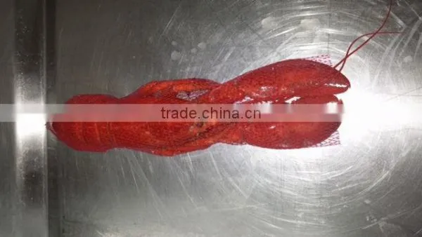 Frozen Cooked /raw Lobster photo-2