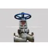 ANSI Check Valve JY41W