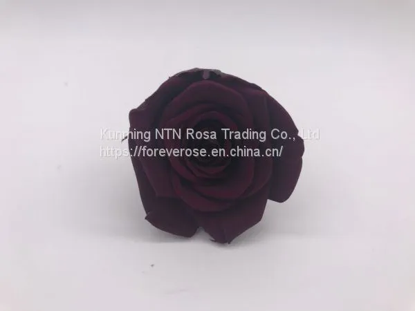 Preserved Rose Gift Arrangement Preserved Flowers photo-2