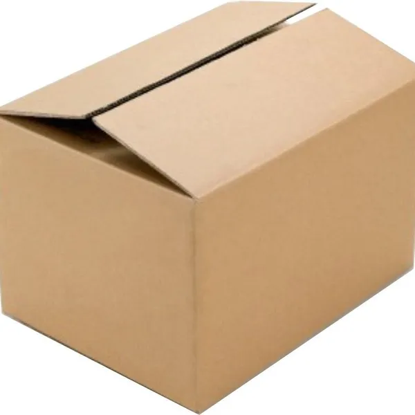 Packaging Carton