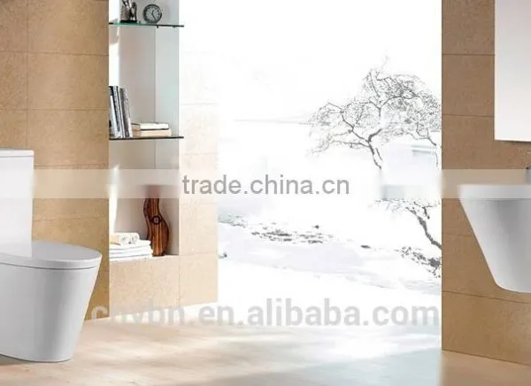 Sanitary Ware Ceramic Bathroom Design Two-piece Toilet photo-2