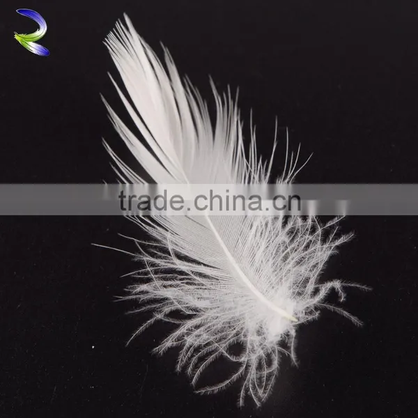 5 Star Hotel Used Washed White Goose Feather for Wholesale photo-6