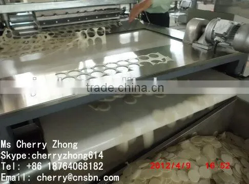 Thailand Rice Crackers Production Line photo-3