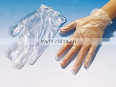 Vinyl Gloves