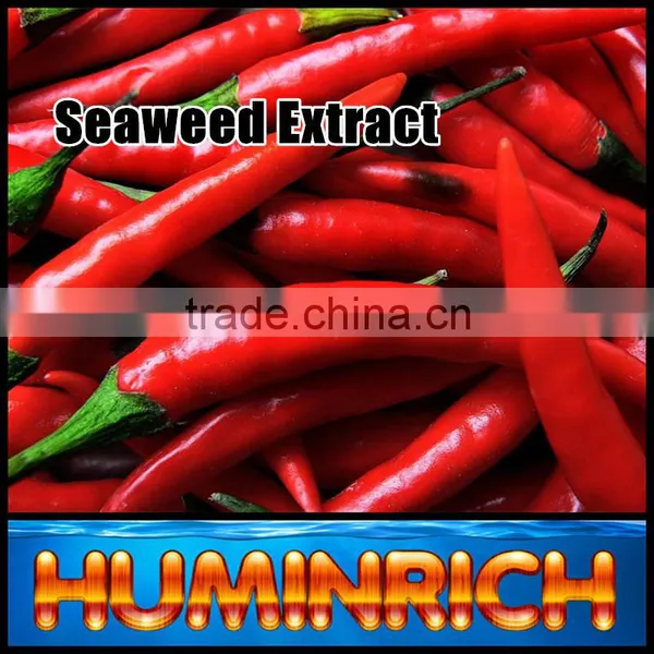 FAQ 19--Application Of Seaweed Extract Fertilizer On Vegetable photo-2
