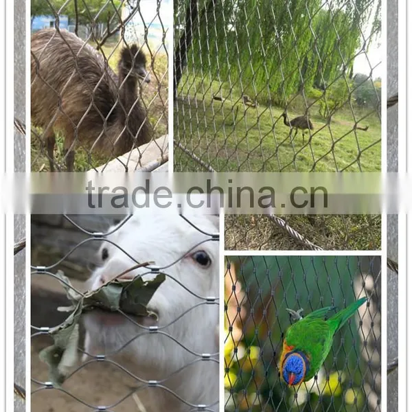 ss Wire Rope Mesh photo-3