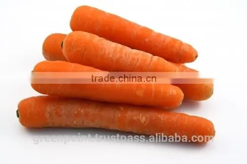 Carrot photo-6