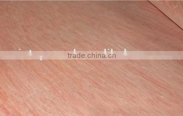 Rotary Cut Bintangor Wood Face Veneer for Plywood photo-4