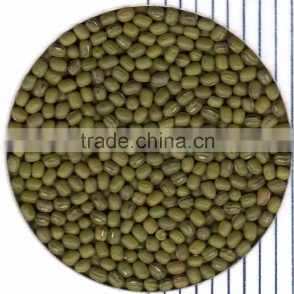Green Mung Beans