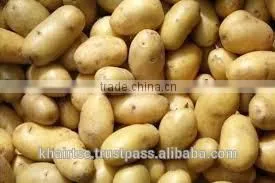 FRESH POTATO