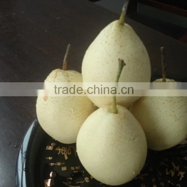 9KG Ya Pear 40-44 Specification photo-4
