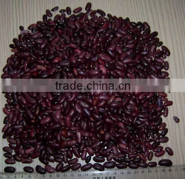 Kinds of Kidney Bean 2015 New Crop photo-5